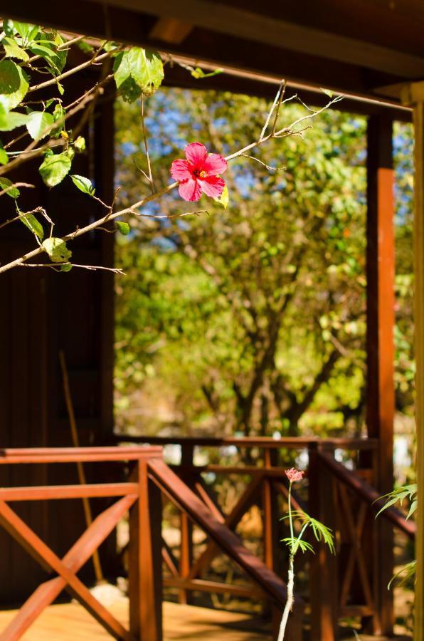Olympe De Bemaraha Hotel Bekopaka Екстериор снимка